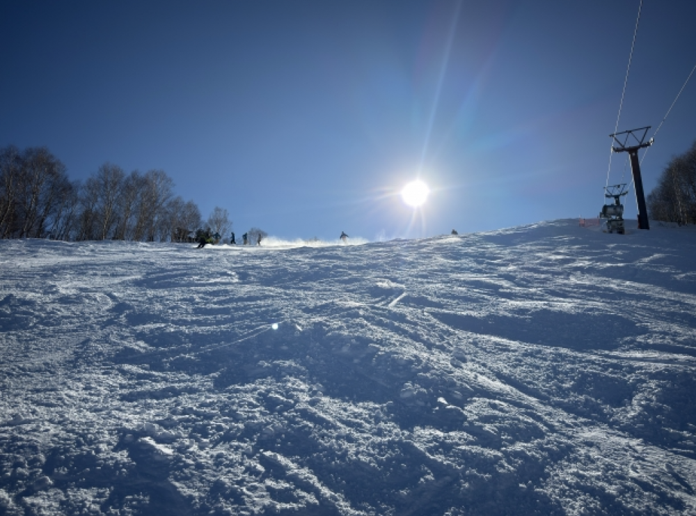 スクリーンショット 2026-02-16 11.47.44