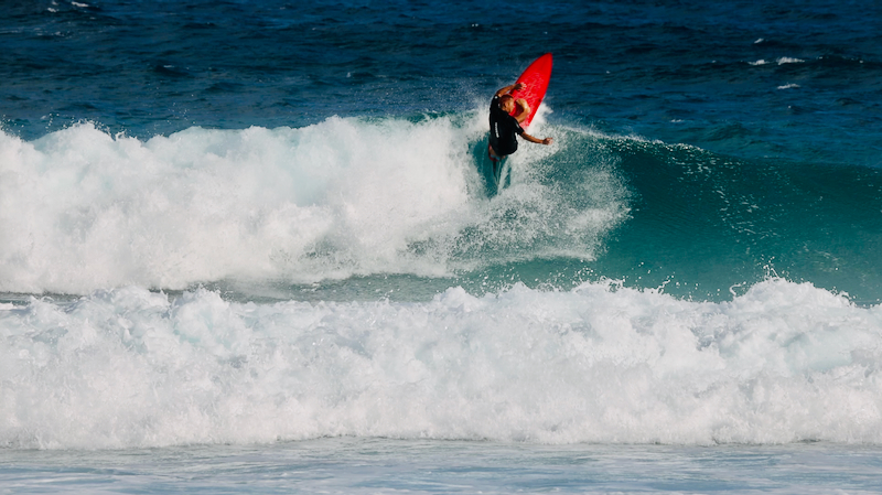 スクリーンショット 2026-02-17 6.24.11