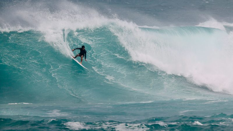 スクリーンショット 2026-02-25 12.24.41