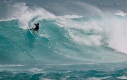 スクリーンショット 2026-02-25 12.24.25