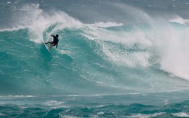 スクリーンショット 2026-02-25 12.24.25