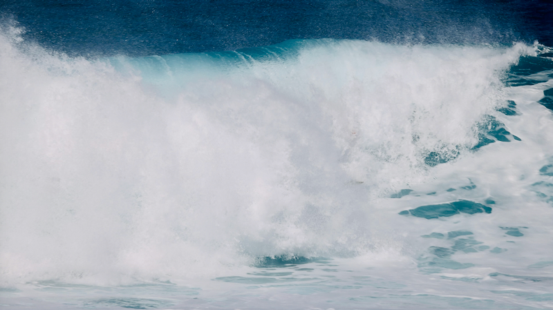 スクリーンショット 2026-02-14 3.30.41