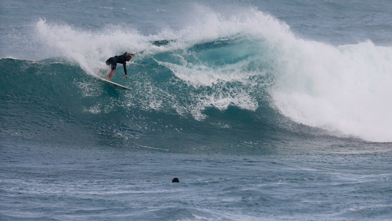 スクリーンショット 2026-02-25 11.18.26