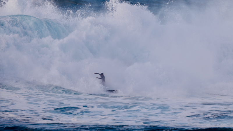 スクリーンショット 2026-02-04 5.15.12