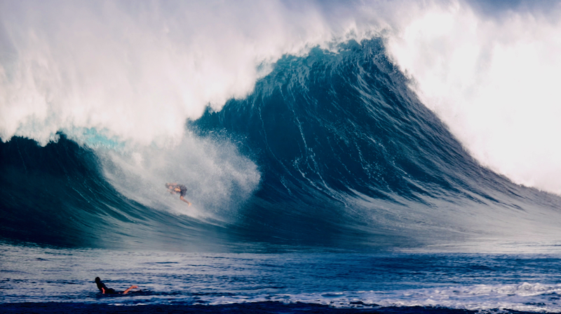 スクリーンショット 2026-02-04 14.24.08