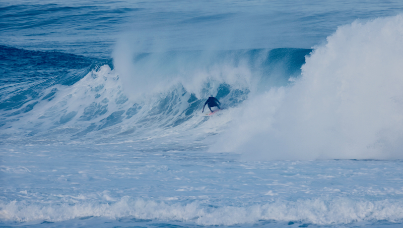 スクリーンショット 2026-02-06 5.03.10