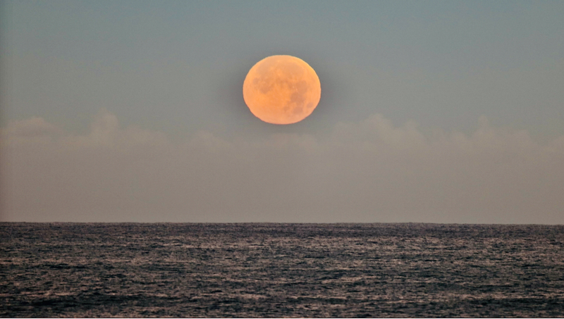 スクリーンショット 2026-02-02 3.16.37