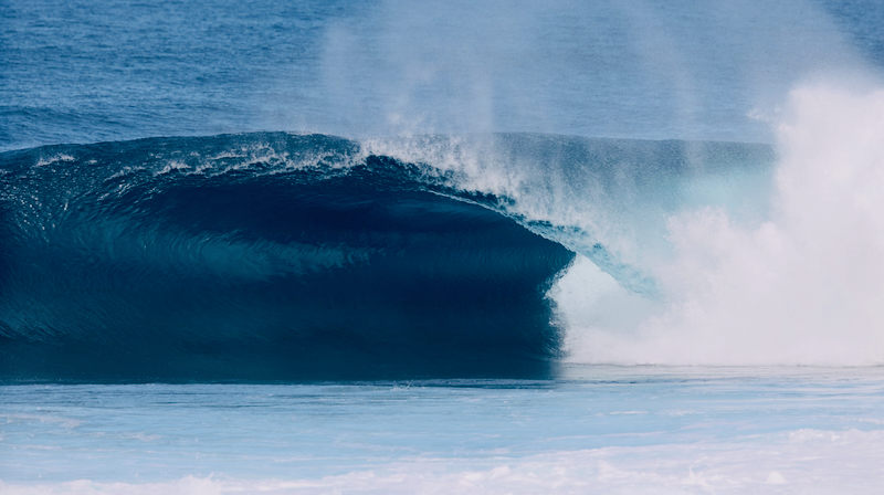 スクリーンショット 2026-02-07 4.50.45