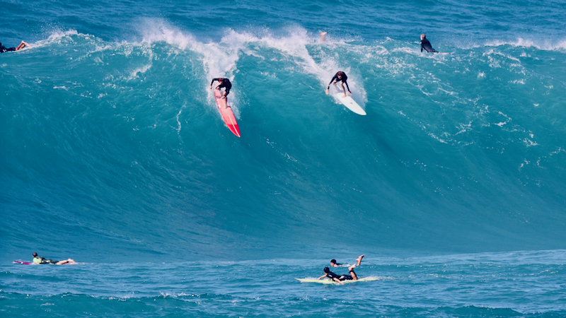 スクリーンショット 2026-02-04 4.27.55
