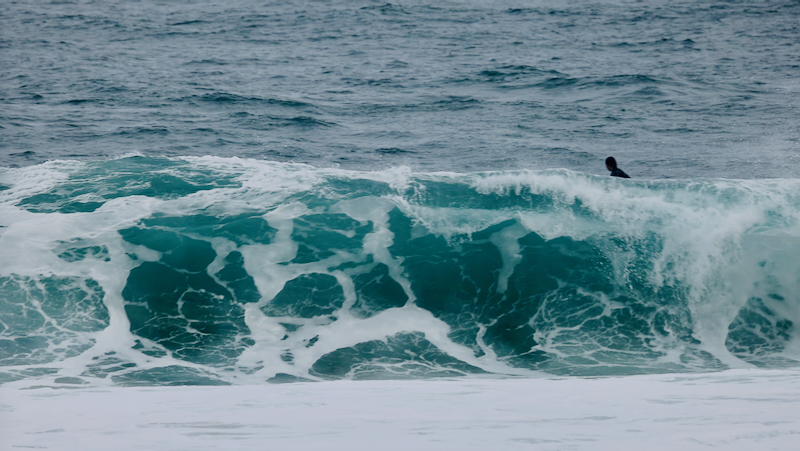 スクリーンショット 2026-02-25 21.02.26