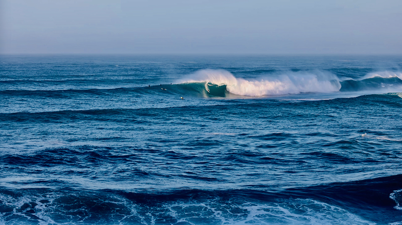 スクリーンショット 2026-02-04 14.13.33