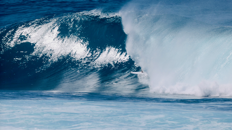 スクリーンショット 2026-02-01 3.27.52