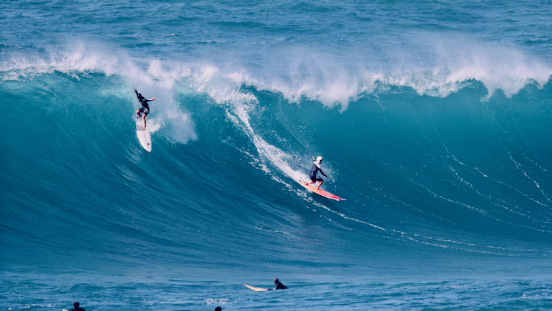 スクリーンショット 2026-02-04 4.45.05