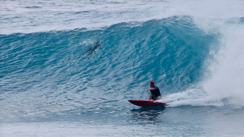 スクリーンショット 2026-02-15 13.33.50