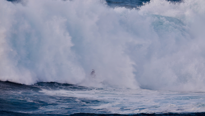 スクリーンショット 2026-02-04 5.14.55