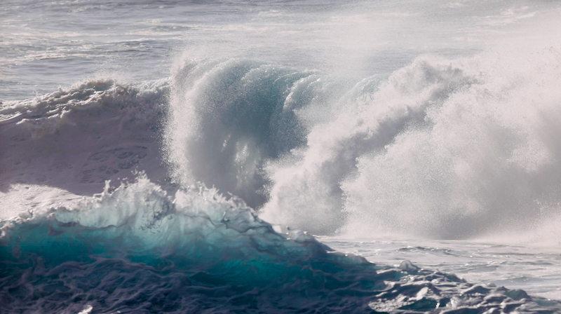 スクリーンショット 2026-02-01 3.43.03