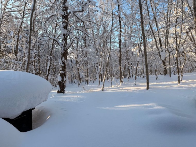 サラサラで豊富なパウダーが北海道の雪山の魅力