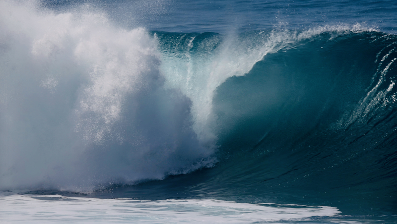 スクリーンショット 2026-02-06 5.40.19