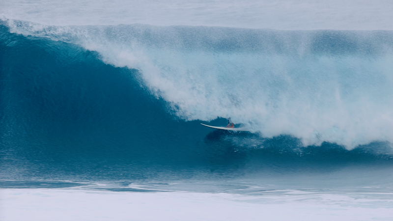 スクリーンショット 2026-02-15 14.16.30