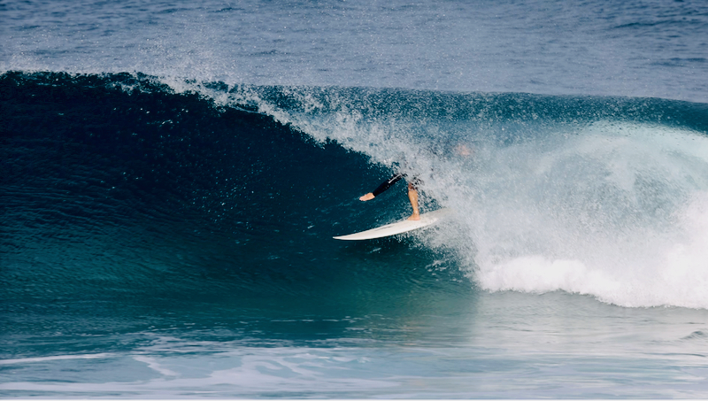 スクリーンショット 2026-02-12 12.43.29