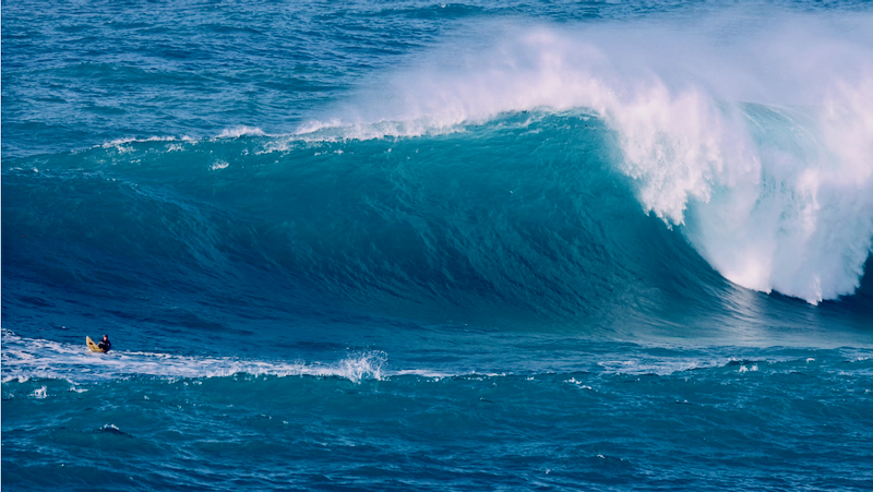 スクリーンショット 2026-02-04 4.59.19