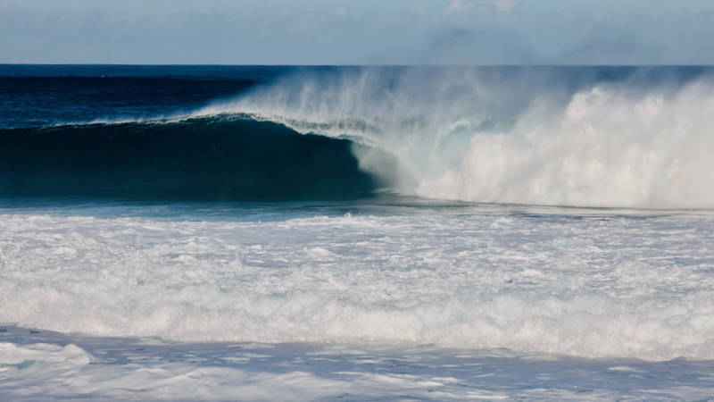スクリーンショット 2026-02-02 4.08.17