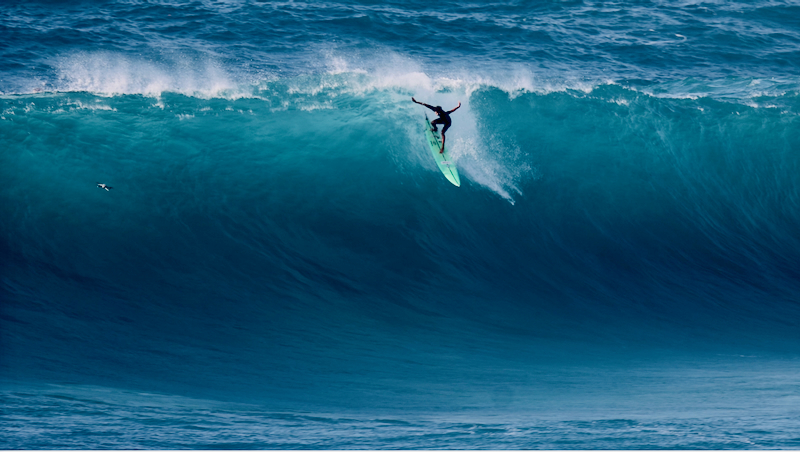 スクリーンショット 2026-02-04 5.02.59