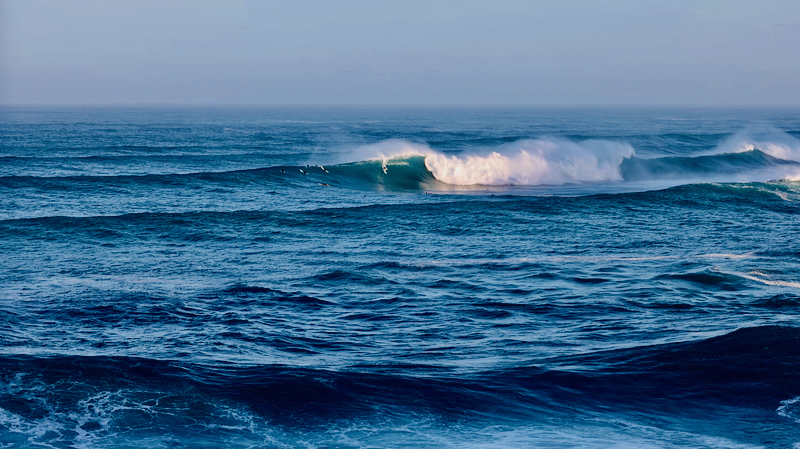 スクリーンショット 2026-02-04 14.13.21