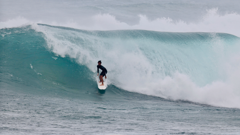 スクリーンショット 2026-02-25 11.56.23