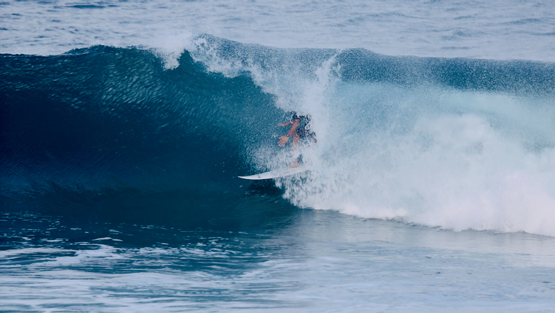 スクリーンショット 2026-02-12 12.23.21