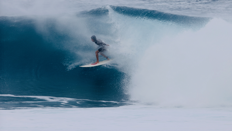 スクリーンショット 2026-02-15 14.17.03