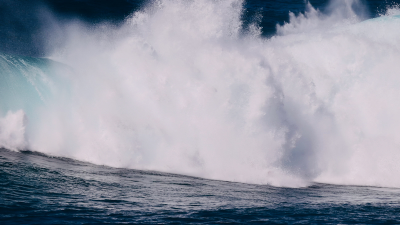 スクリーンショット 2026-02-04 4.30.41