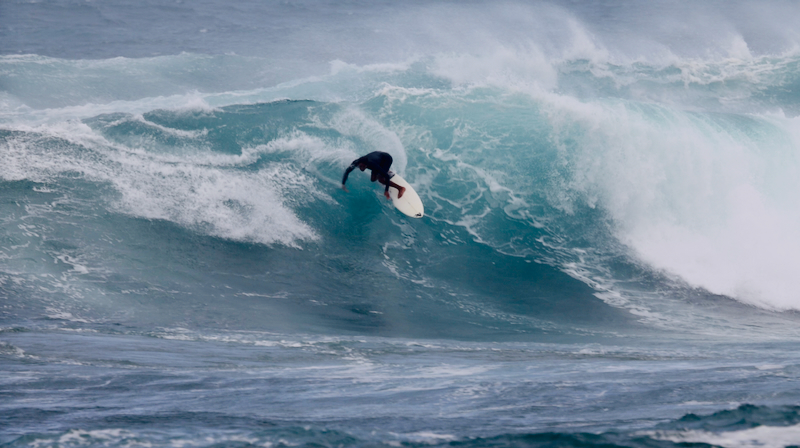 スクリーンショット 2026-02-25 11.35.00