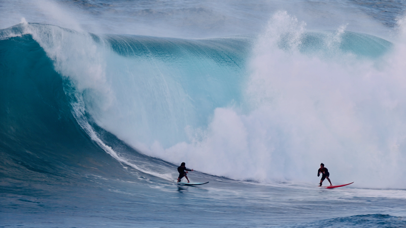 スクリーンショット 2026-02-04 5.13.25