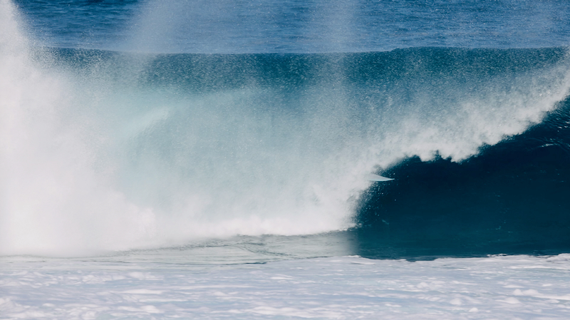 スクリーンショット 2026-02-02 4.23.36