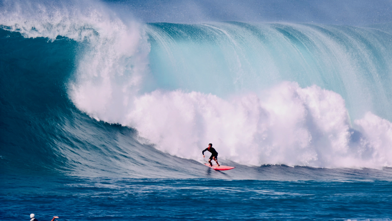 スクリーンショット 2026-02-04 4.29.41