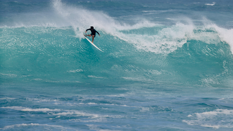 スクリーンショット 2026-02-25 12.31.38