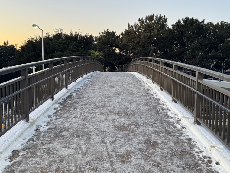 茅ヶ崎パークの歩道橋