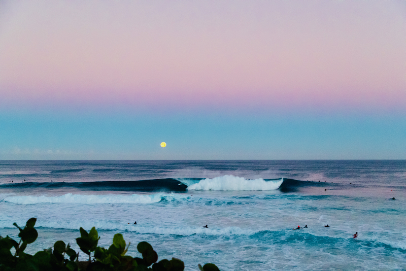 Pipe Lineup_26PipeCS_4905_Tony Heff_1