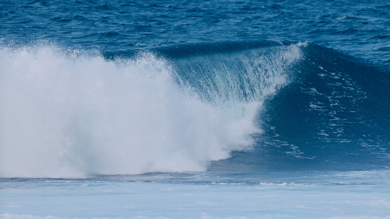 スクリーンショット 2026-02-02 5.18.43