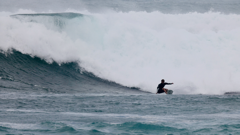 スクリーンショット 2026-02-25 11.50.49