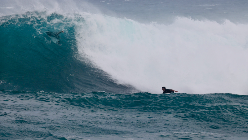 スクリーンショット 2026-02-25 12.39.41