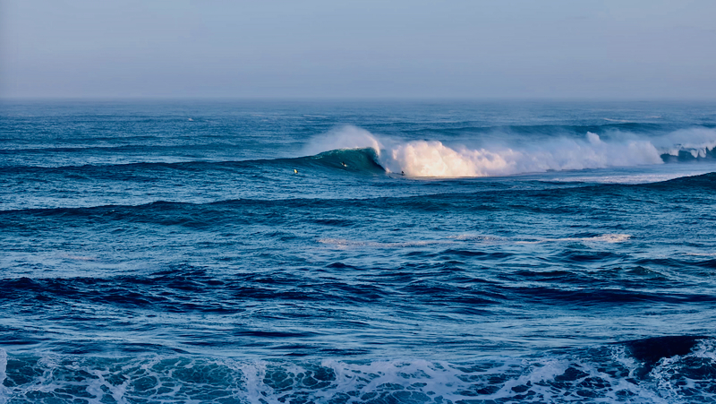 スクリーンショット 2026-02-04 14.14.28