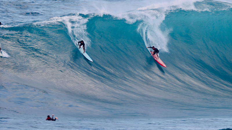 スクリーンショット 2026-02-04 5.12.09