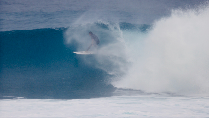 スクリーンショット 2026-02-15 13.22.54