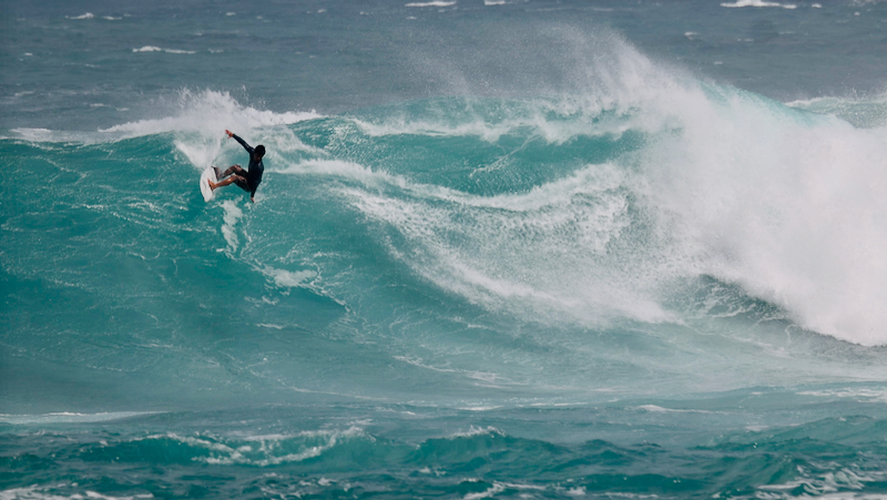 スクリーンショット 2026-02-25 12.24.11