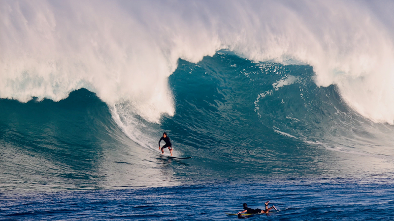 スクリーンショット 2026-02-04 14.19.12