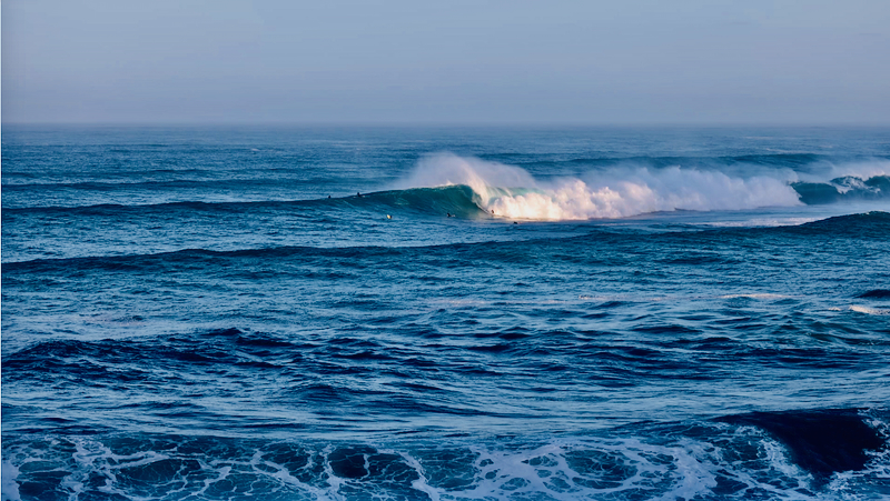 スクリーンショット 2026-02-04 14.13.50