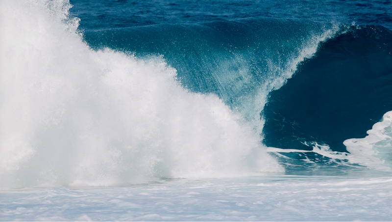 cedc815f07e920e714da2859719be9d5