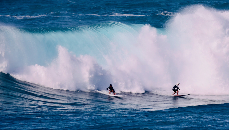 スクリーンショット 2026-02-04 4.46.13